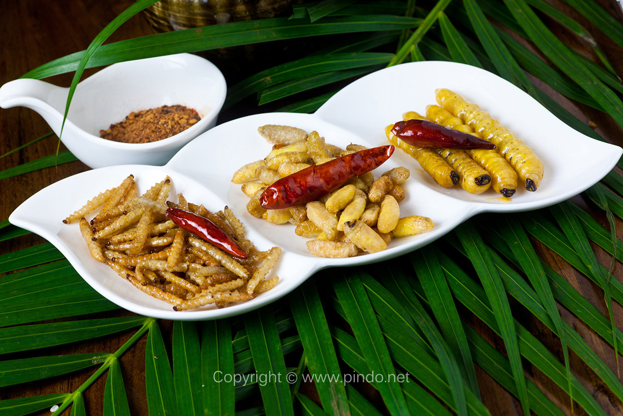 禾唐锦风尚云南菜,淄博餐饮摄影,淄博菜谱